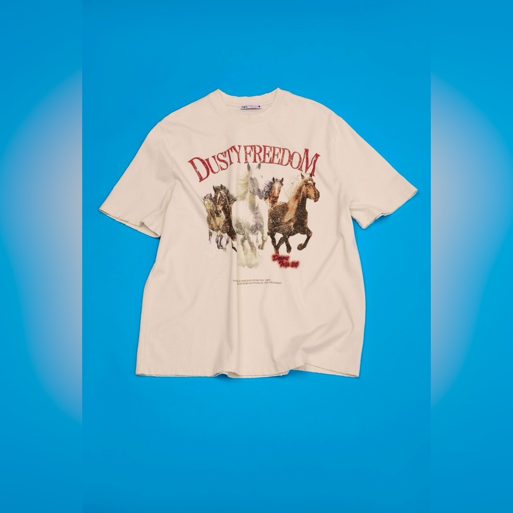 ZARA T-SHIRT WITH FRONT PRINT